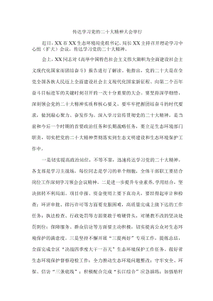 传达学习党的二十大精神大会心得体会3篇.docx