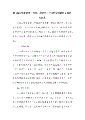 镇2023年度党委（党组）理论学习中心组学习计划2篇范文合集.docx