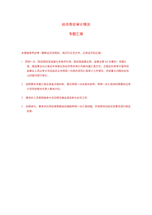 某集团经济责任审计两局一办专题汇报模板（如适用）.docx