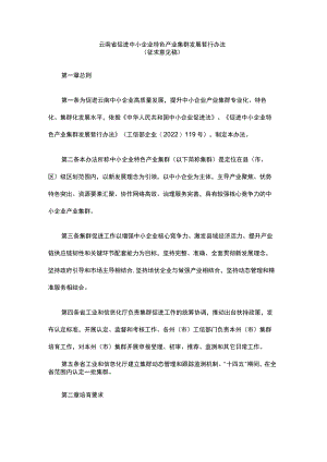 云南省促进中小企业特色产业集群发展暂行办法.docx