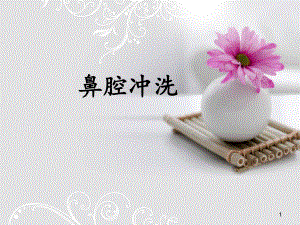 鼻腔冲洗PPT医学课件.ppt