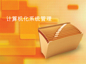 计算机化系统管理.ppt