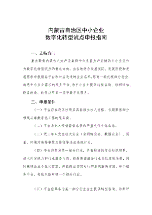 自治区中小企业数字化转型试点申报指南.docx
