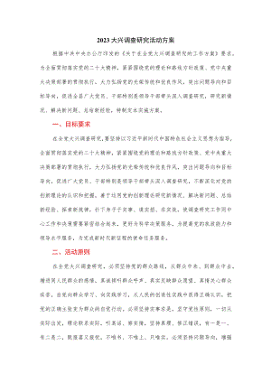 2023大兴调查研究活动方案.docx