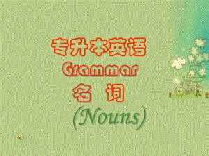 高考、专升本英语名词部分.ppt