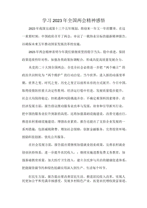学习2023年全国两会精神感悟.docx