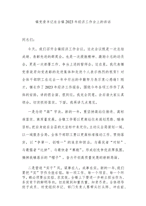 镇党委书记在全镇2023年经济工作会上的讲话.docx