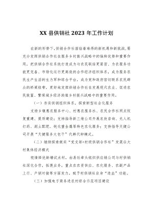 XX县供销社2023年工作计划.docx