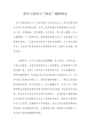 青年干部学习“两会”精神体会.docx