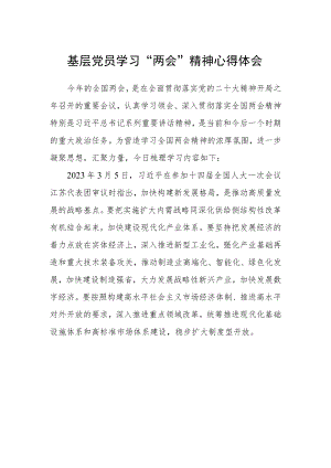 基层党员学习“两会”精神心得体会.docx