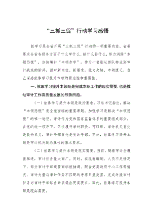 党员干部关于落实三抓三促行动心得体会五篇.docx