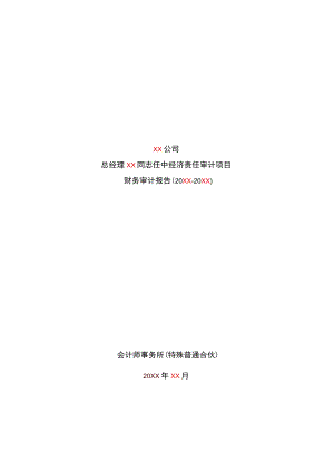 财务审计报告模板.docx
