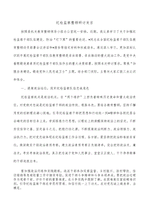 纪检监察整顿研讨发言.docx