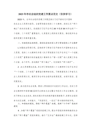 2023年市社会组织党建工作要点范文.docx