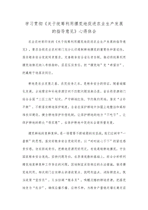 学习贯彻《关于统筹利用撂荒地促进农业生产发展的指导意见》心得体会.docx