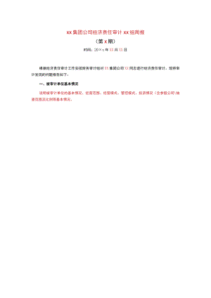 某集团经济责任审计项目周报.docx