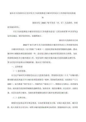 丽水市人民政府办公室印发关于高质量推进小城市培育试点工作的指导意见的通知.docx