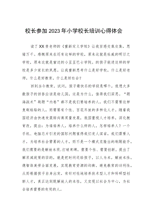 2023年小学校长培训心得体会发言材料七篇.docx