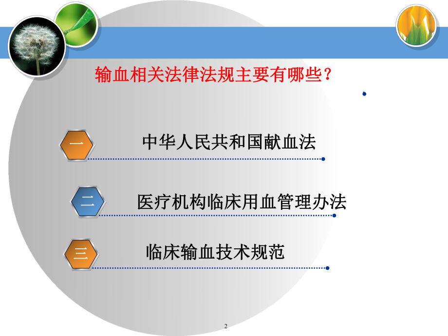 输血法律法规.ppt_第2页