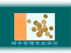 财务管理专业导论.ppt