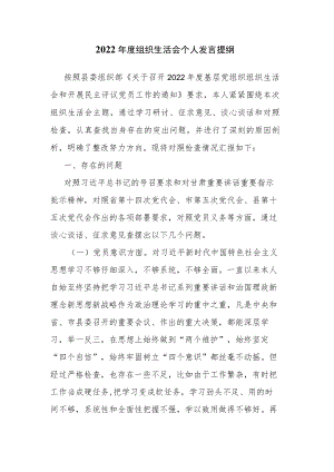 2022年度组织生活会个人发言提纲.docx