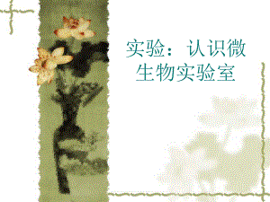 认识微生物实验室.ppt