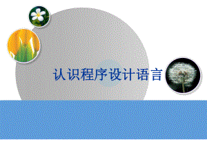 认识程序设计语言...ppt
