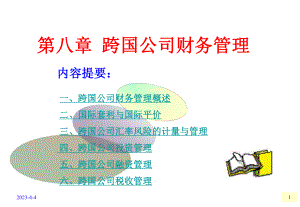 高级财务管理8跨国公司财务管理.ppt