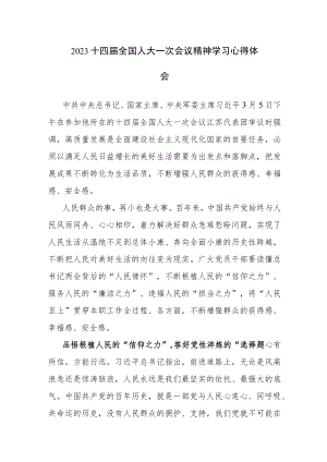 2023十四届全国人大一次会议精神学习心得体会感悟参考范文4篇.docx