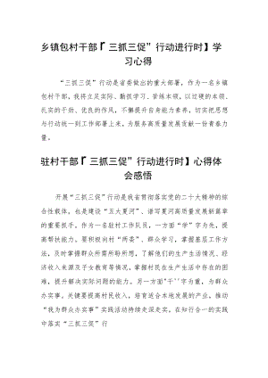 乡镇包村干部【“三抓三促”行动进行时】学习心得集合四篇.docx