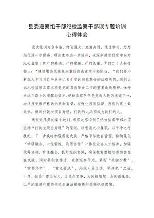 县委巡察组干部纪检监察干部谈专题培训心得体会.docx