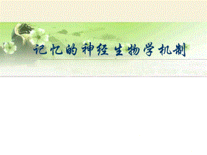 记忆的神经生物学机制.ppt