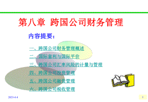 跨国公司财务管理.ppt