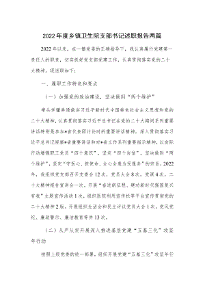 2022年度乡镇卫生院支部书记述职报告两篇.docx