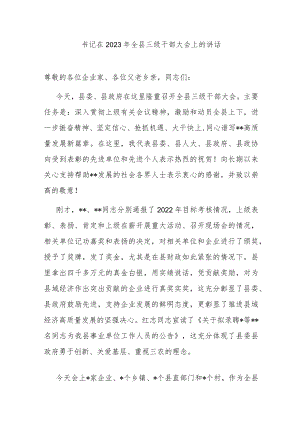 书记在2023年全县三级干部大会上的讲话.docx