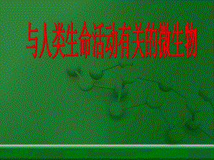 高级微生物人体有关的微生物.ppt