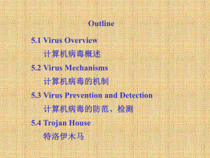 计算机病毒+详细介绍计算机病毒(最全).ppt