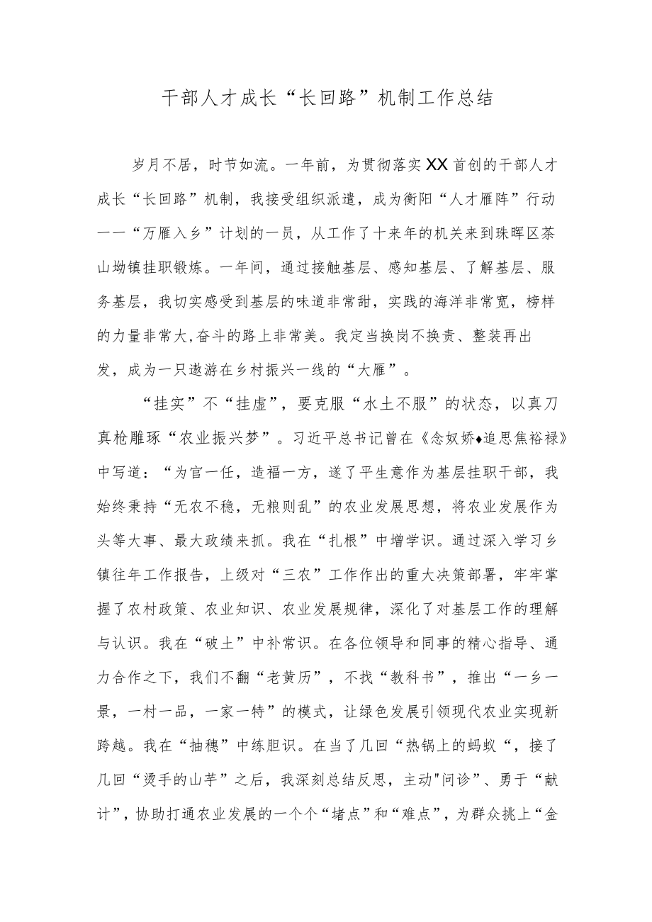 干部人才成长“长回路”机制工作总结.docx_第1页