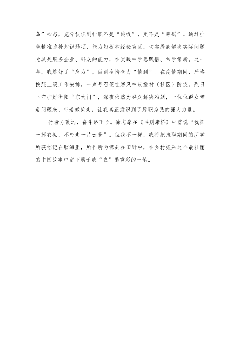 干部人才成长“长回路”机制工作总结.docx_第3页