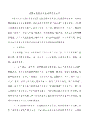 巩固拓展脱贫攻坚成果经验启示.docx