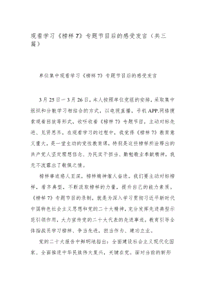 观看学习《榜样7》专题节目后的感受发言(共三篇).docx