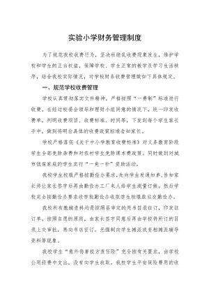 实验小学财务管理制度.docx