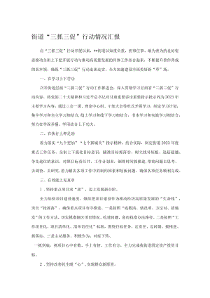 街道“三抓三促”行动情况汇报.docx