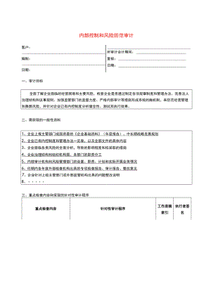 6专门事项审计程序--内部控制和风险防范.docx