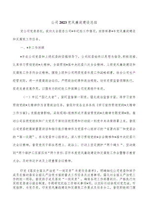 公司2023党风廉政建设总结.docx