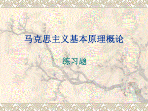 马克思主义概论.ppt