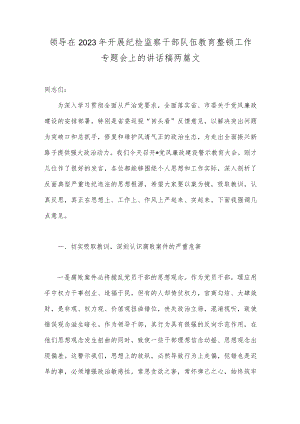领导在2023年开展纪检监察干部队伍教育整顿工作专题会上的讲话稿两篇文.docx