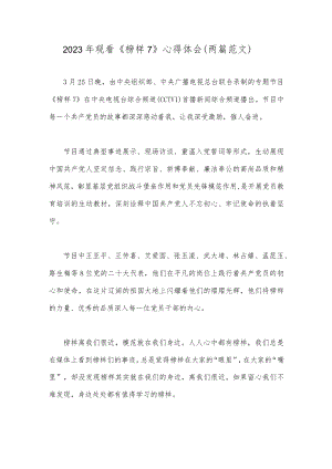 2023年观看《榜样7》心得体会（两篇范文）.docx
