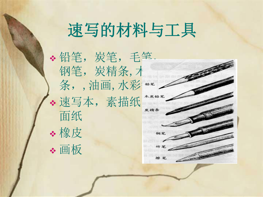 人物速写的基础知识.ppt_第3页