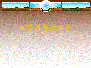 顾客消费心理学.ppt